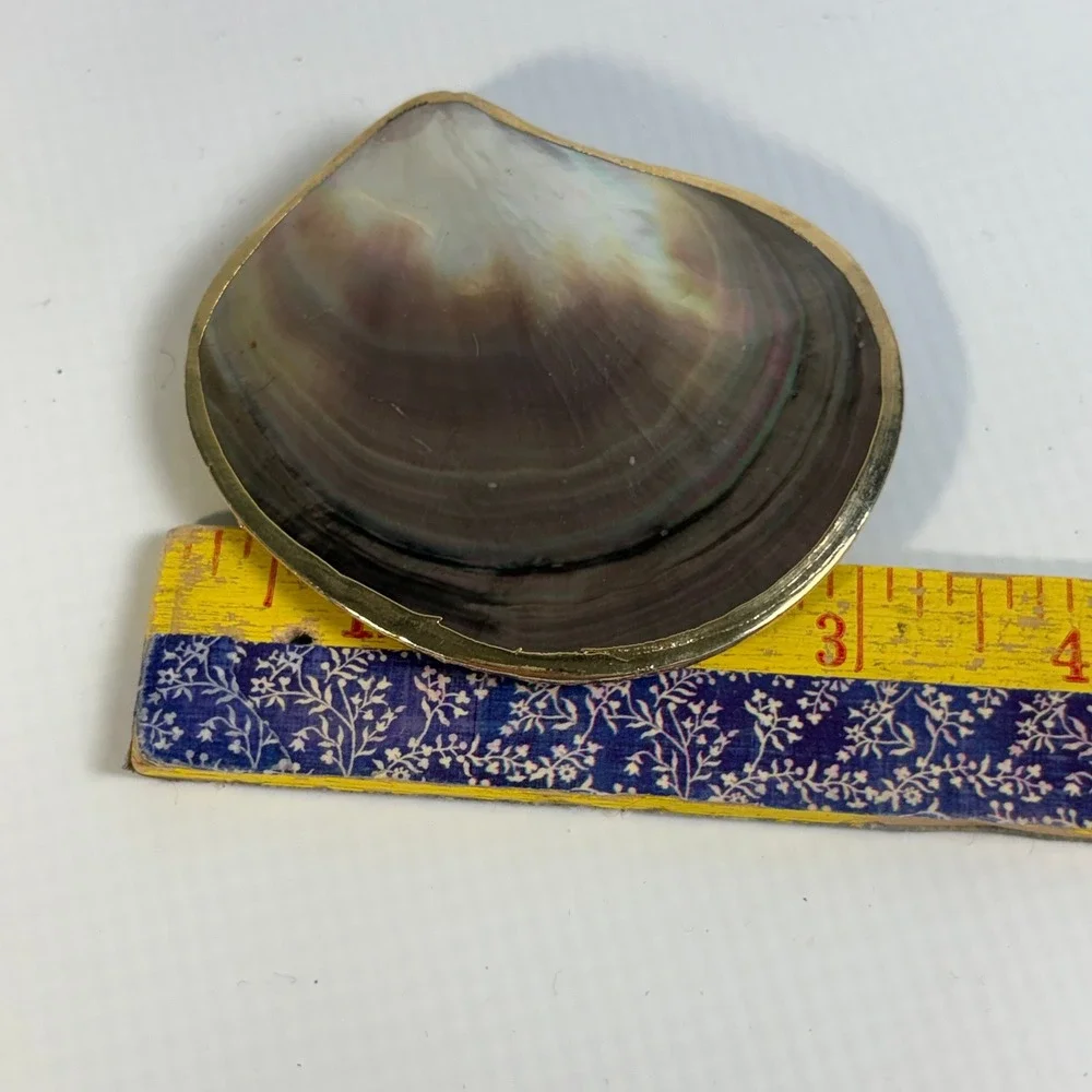 Vintage Iridescent Shell Scarf Slide Gold Tone Trim Clam Shell Belt Buckle 3.25
